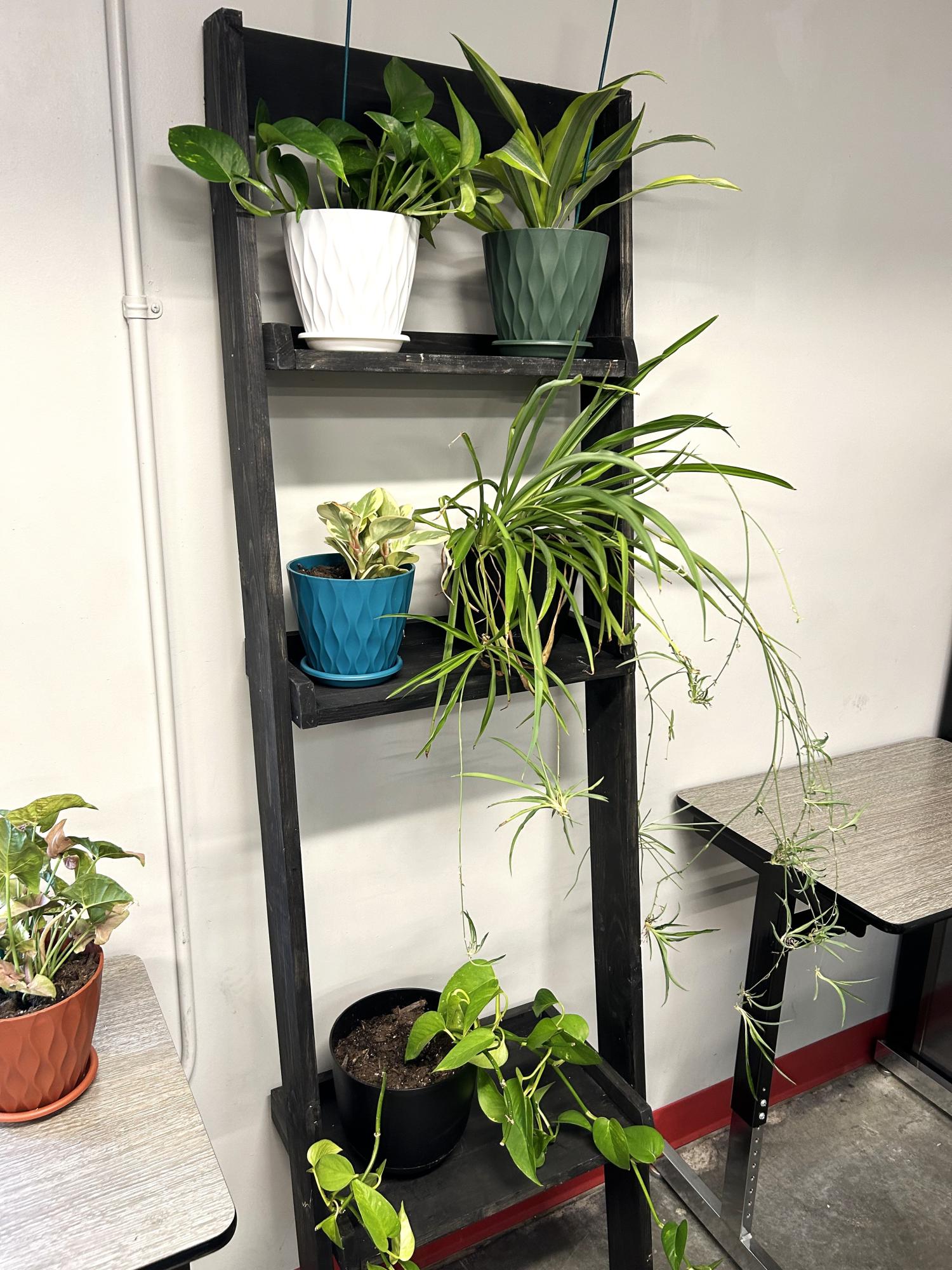 Leaning Plant Shelf Ana White